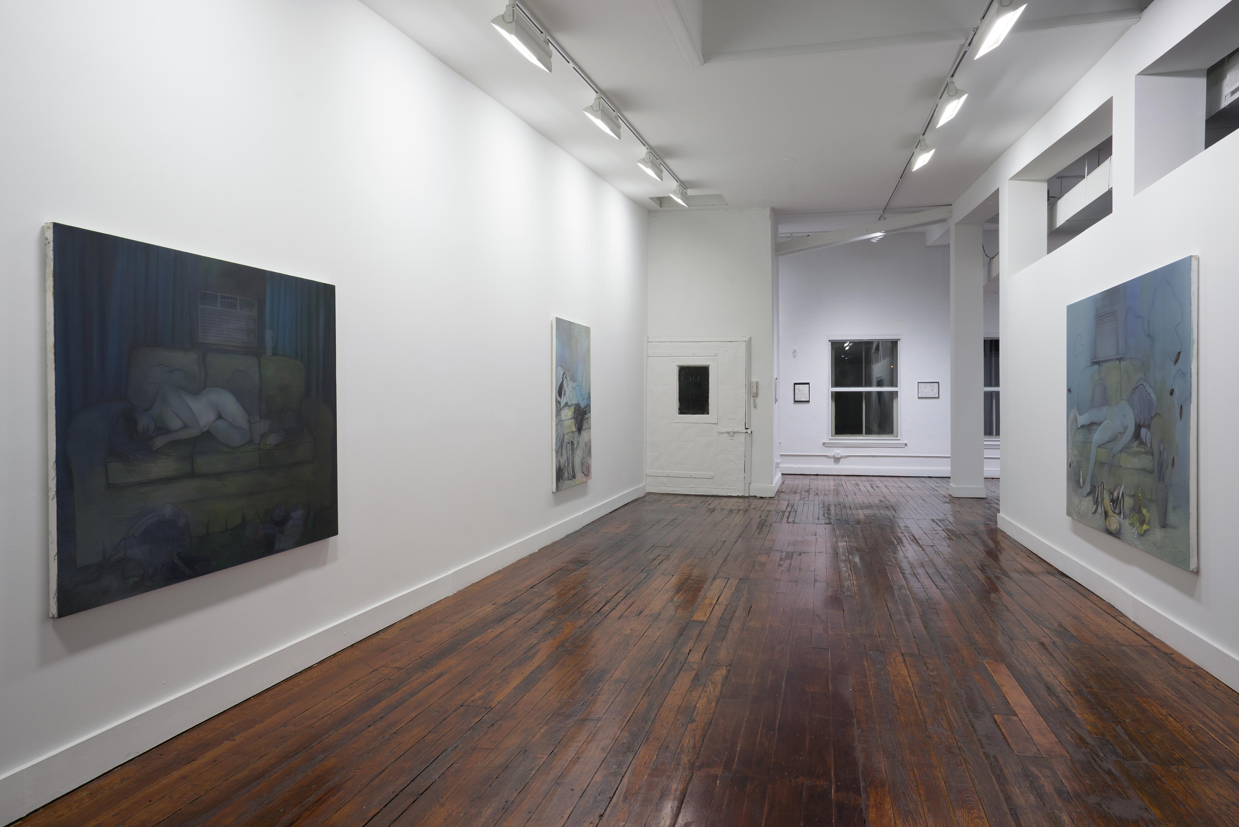 Imaginary Friend installation view