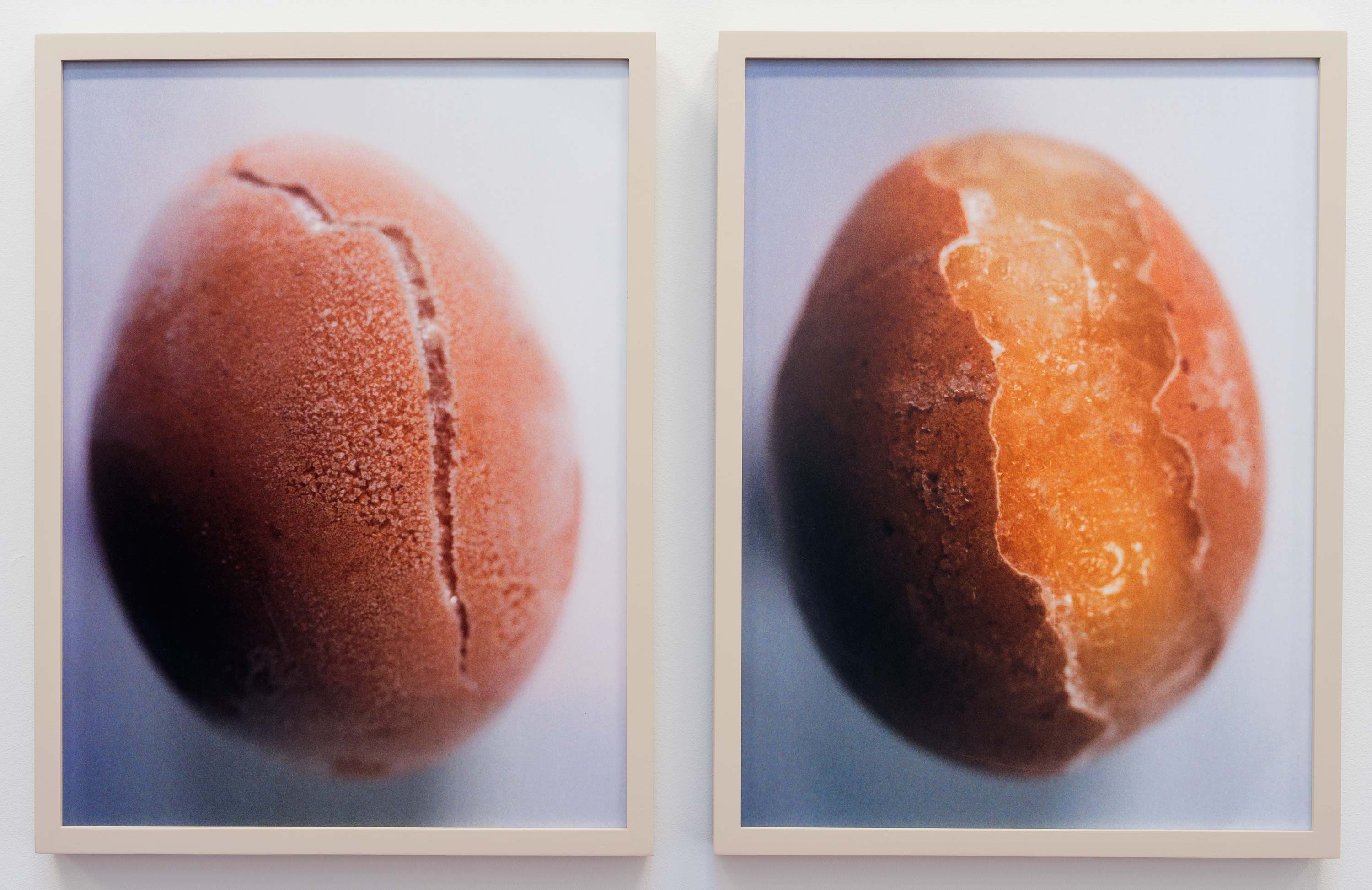 Harm van den Dorpel<br>Untitled<br>lightjet prints<br>18 x 24 inches (46 x 61 cm) each