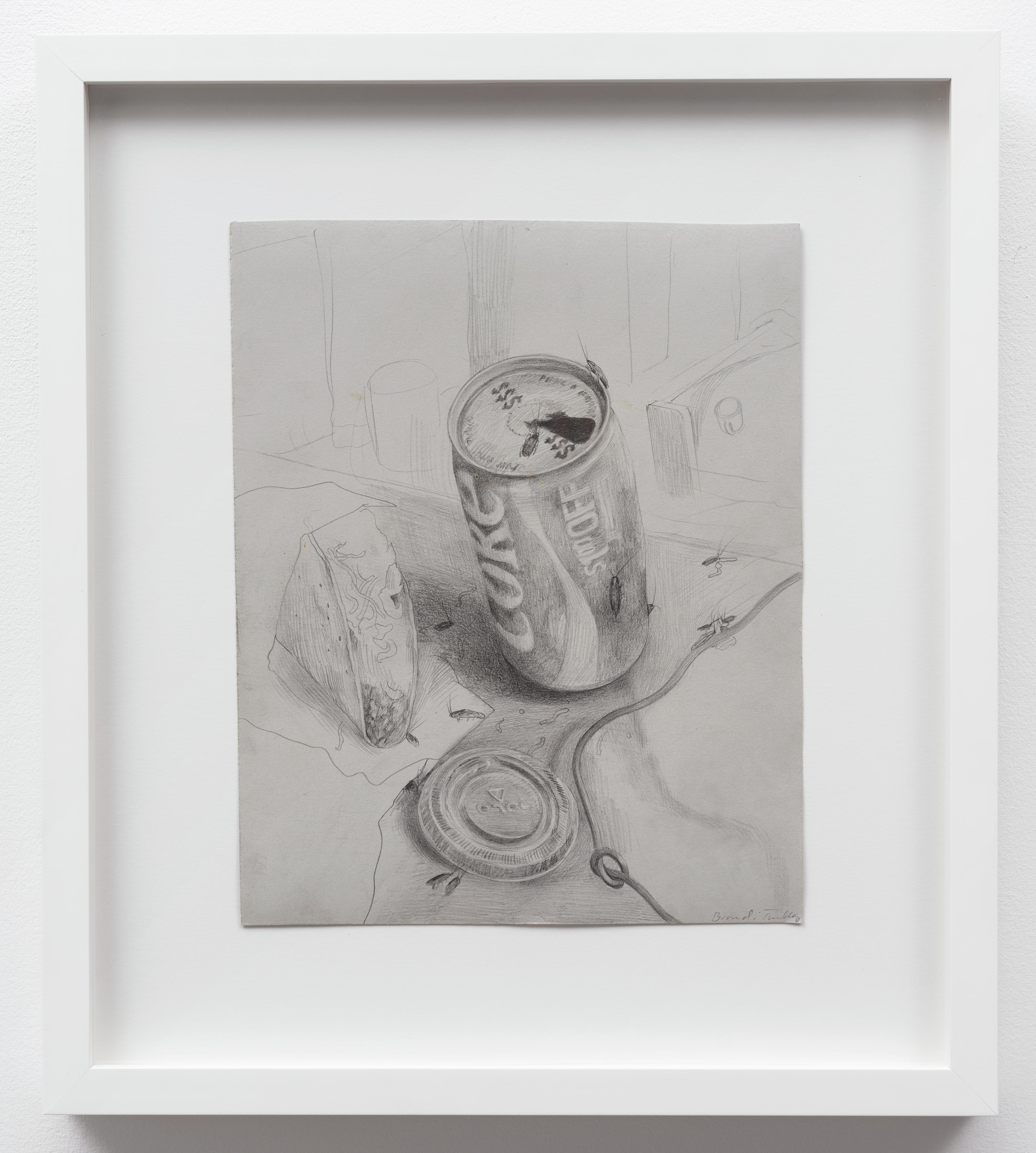 Brandi Twilley<br>Coke and Taco<br>2014<br>Graphite on gray paper<br>9 x 11 in (23 x 28 cm)